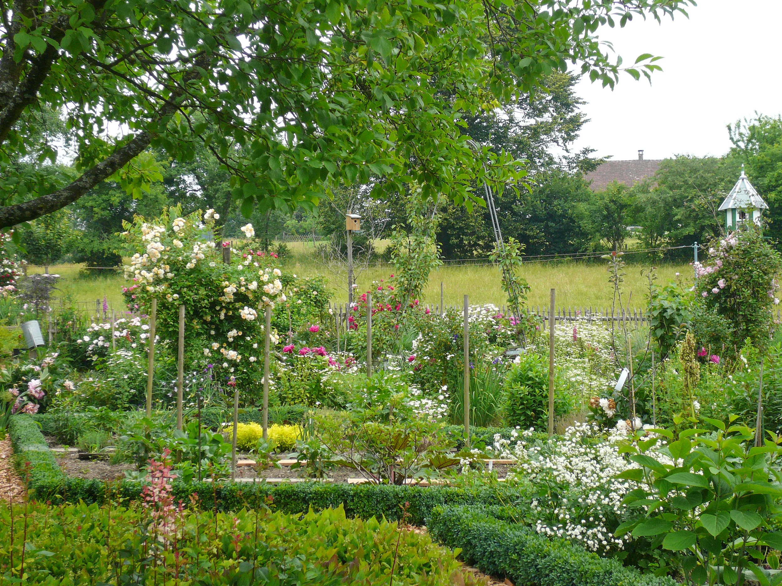 Nutzgarten