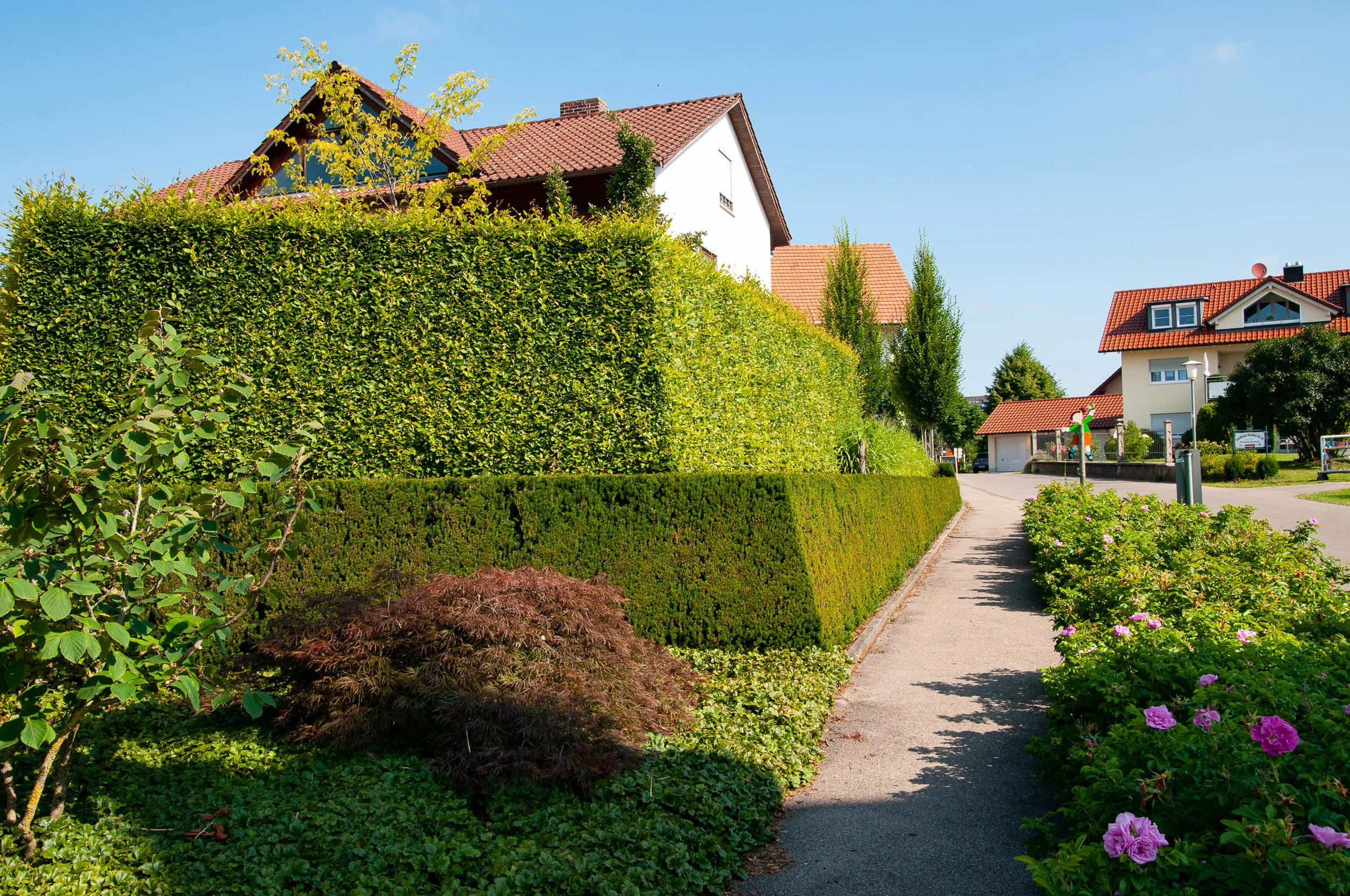 _seethaler-gartenimpulse-schmid-hattnau-2019-07-DSC_5294.jpg
