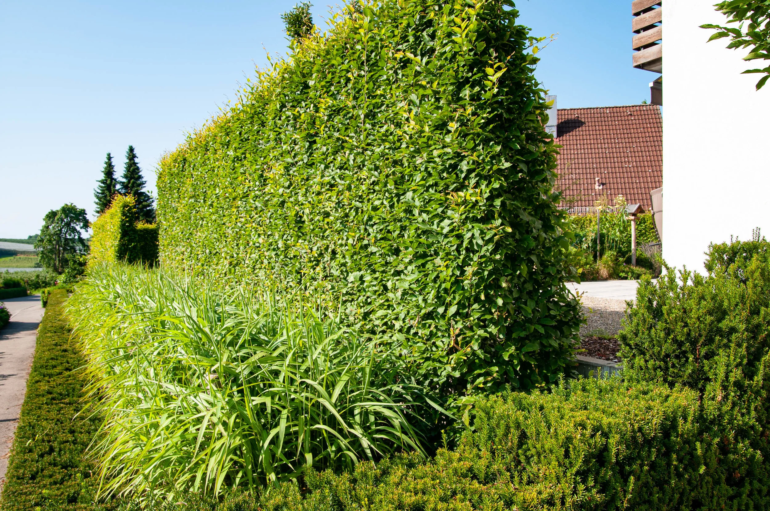 _seethaler-gartenimpulse-schmid-hattnau-2019-07-DSC_5289.jpg