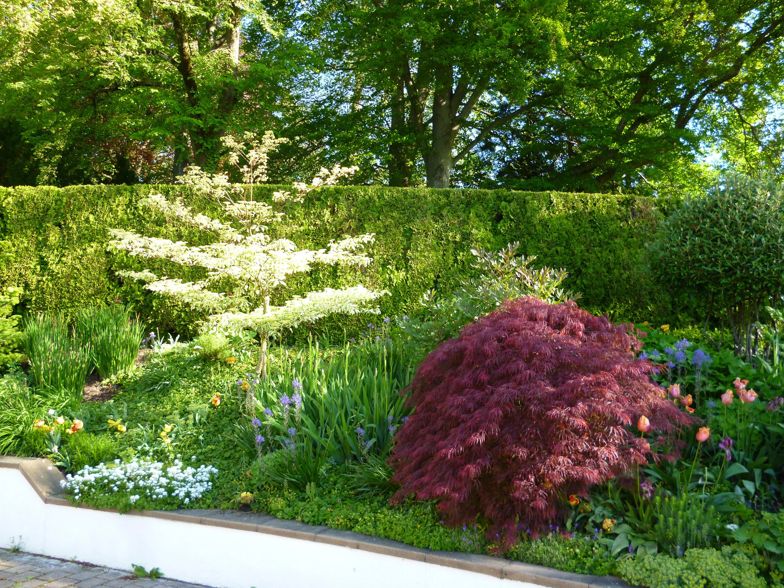 Halbschatten und Farbe