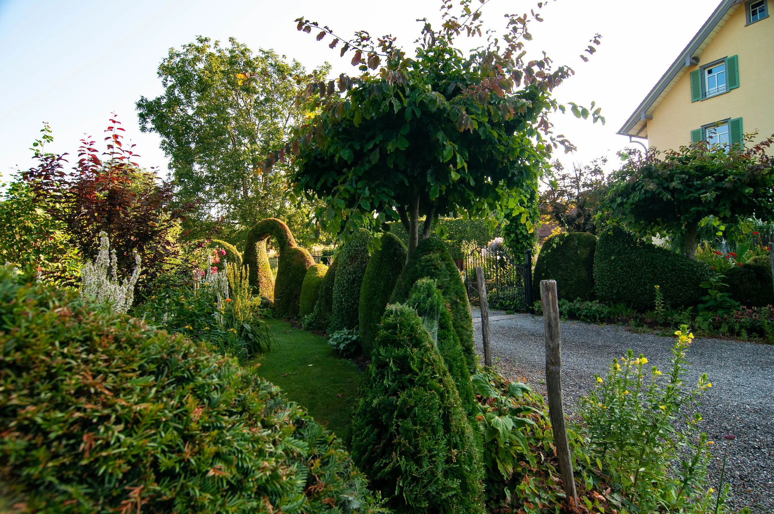 _seethaler-gartenimpulse-haus-zum-nussbaum-2019-07-DSC_5122.jpg