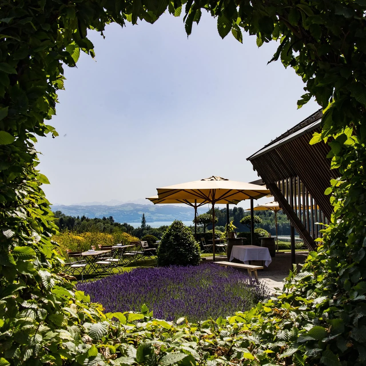 Weingut Schmidt Web-215.jpg