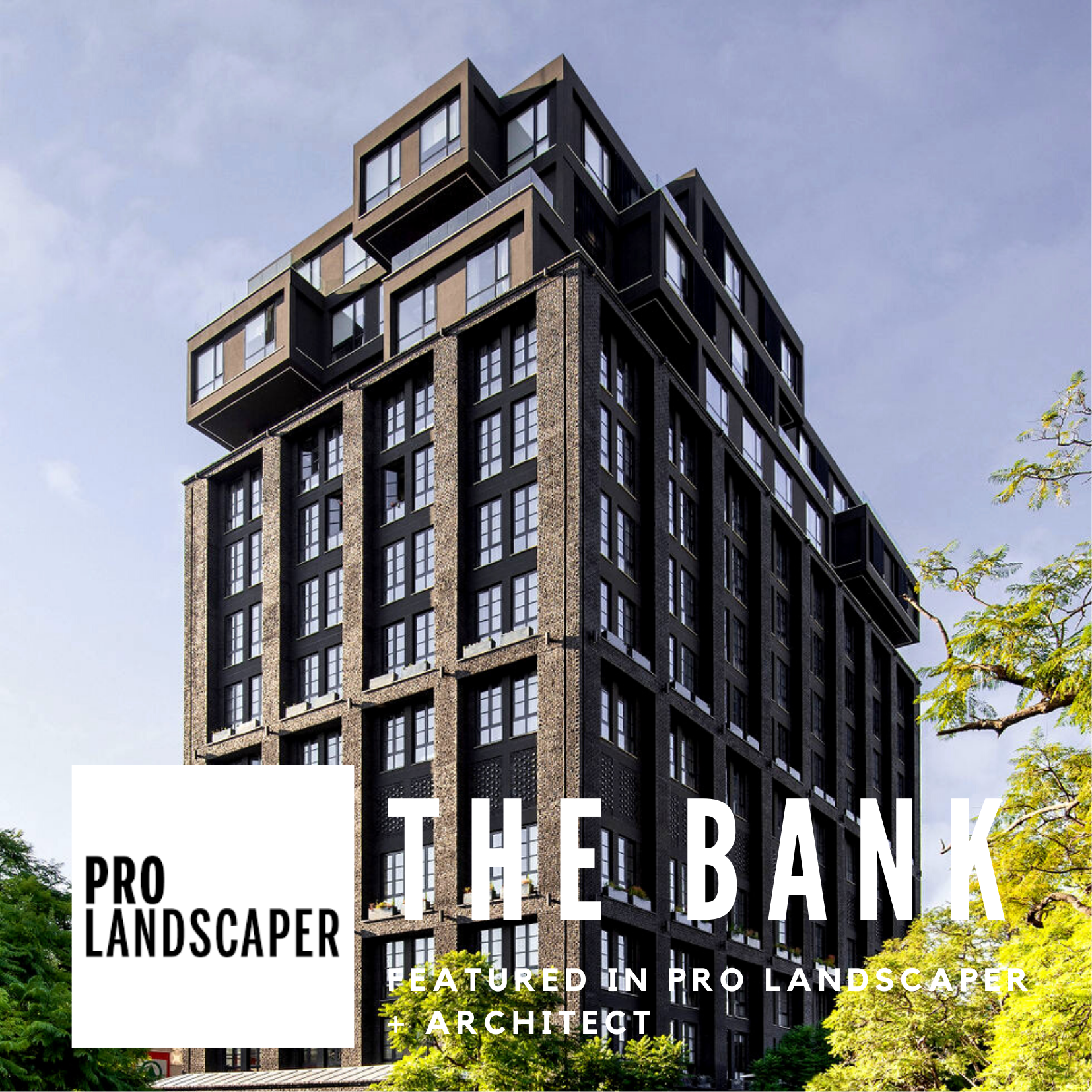 The Bank featured in Pro Landscaper + Architect