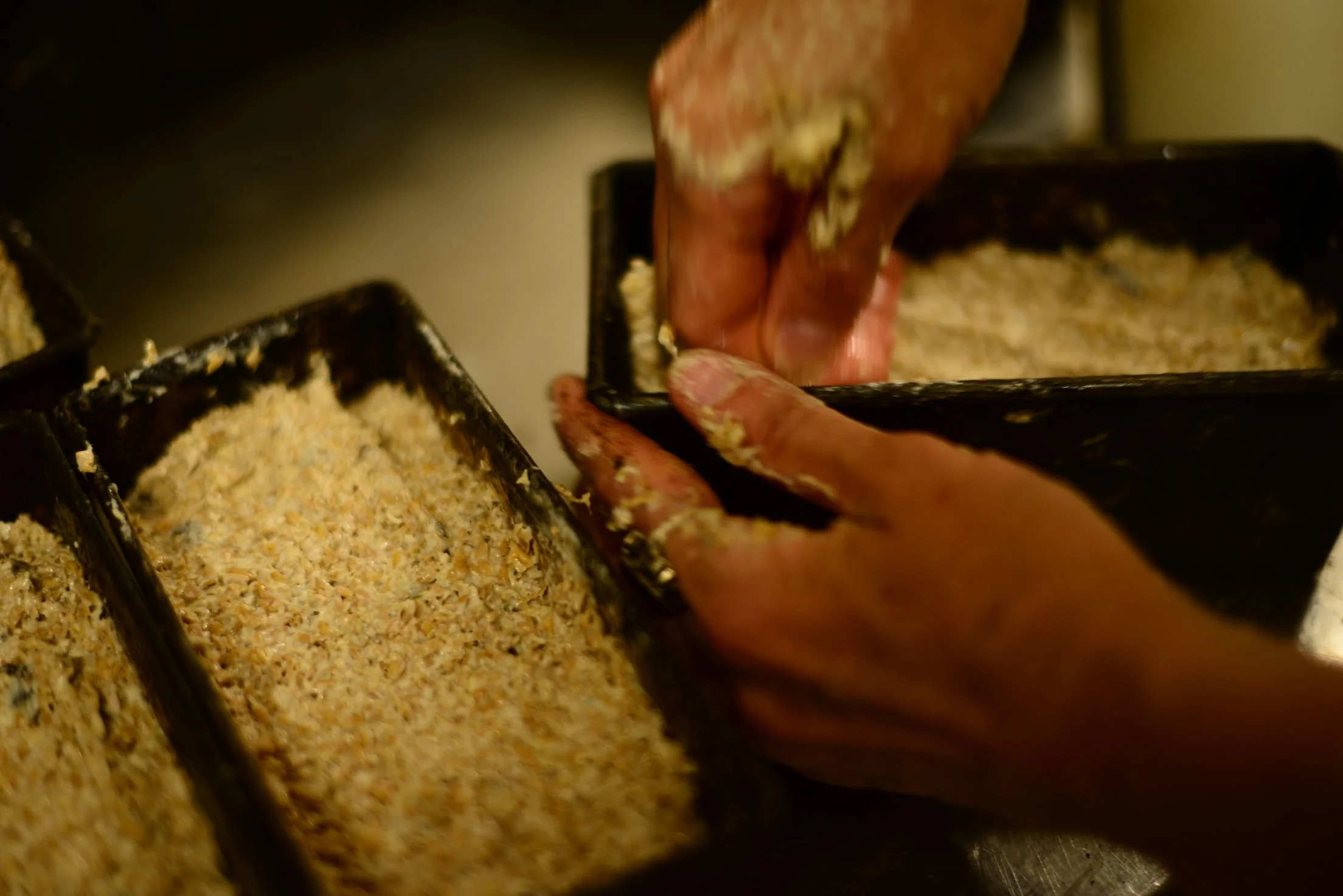 2016-07-22 02.22.46.jpg