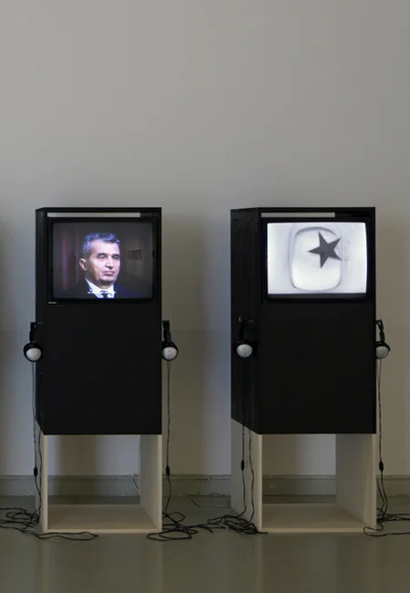 Trei Culori, Star, 2012 European Travellers. Art from Cluj Today, Mucsarnok Kunsthalle, Budapest