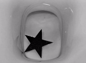 Star, 2011, video loop, 3’06”, detail / more