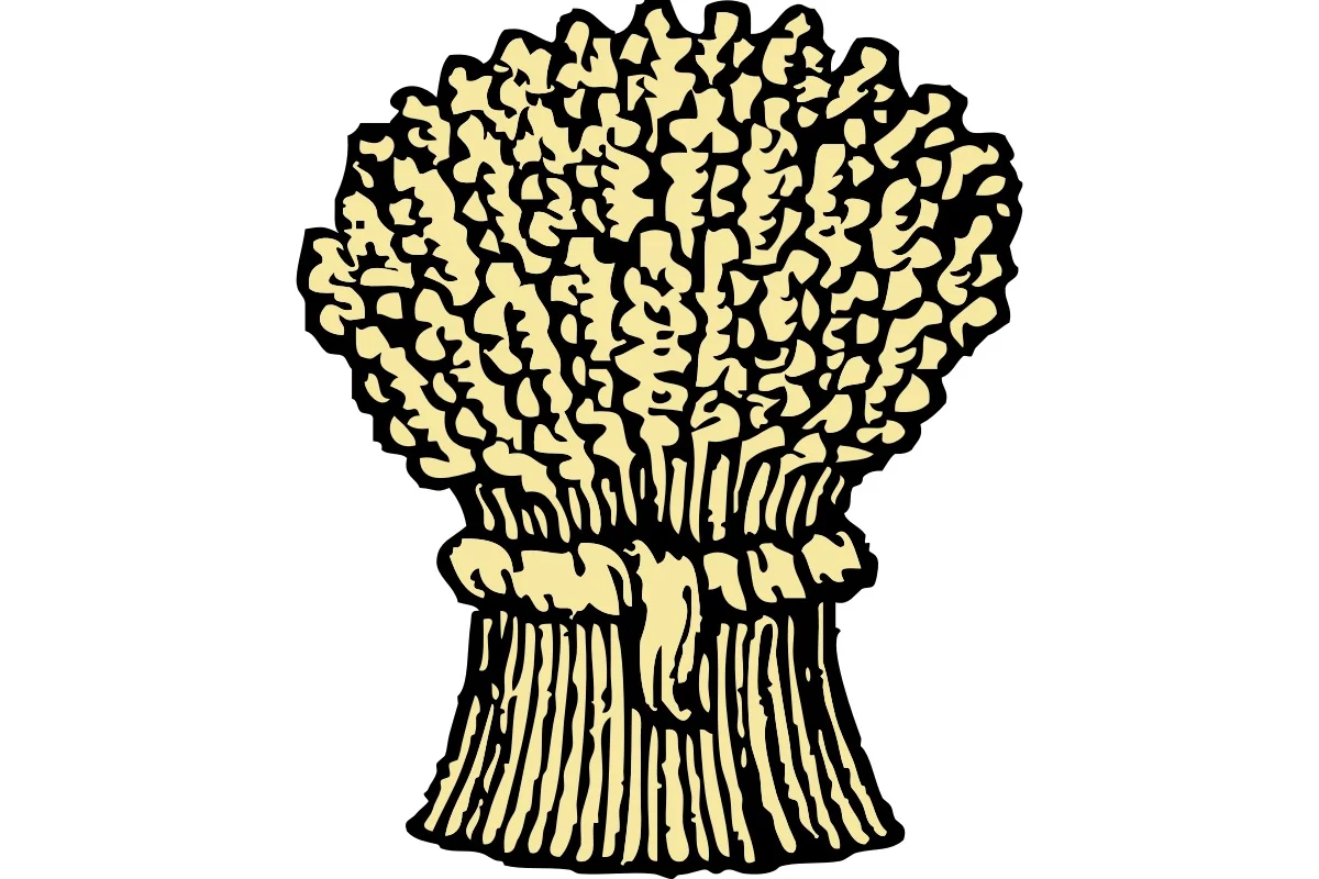 Harvest Festival Morning Service