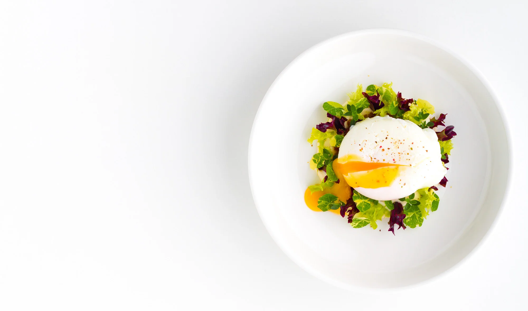 Egg in Herb Garden