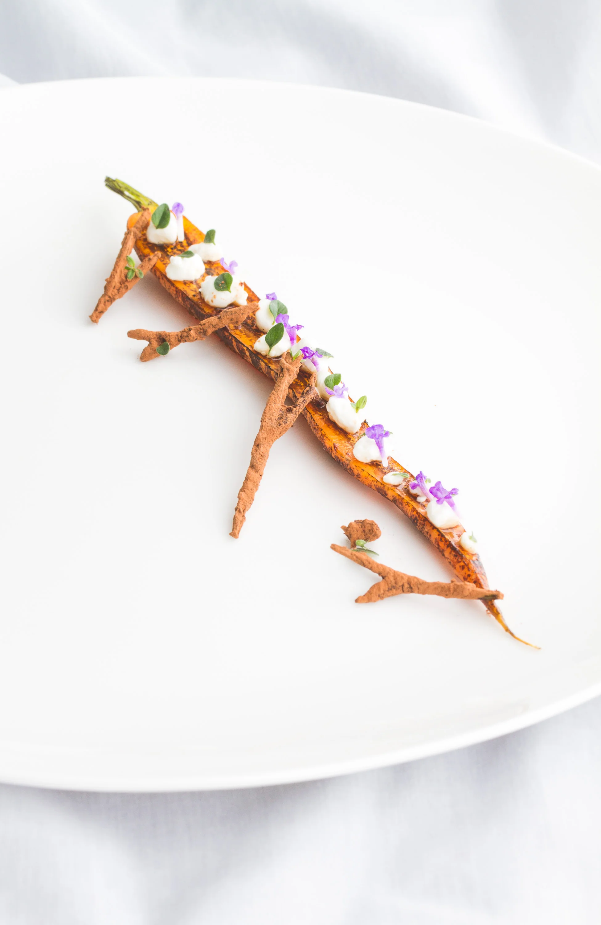 Honey glazed carrot, cottage cheese and chervil twigs