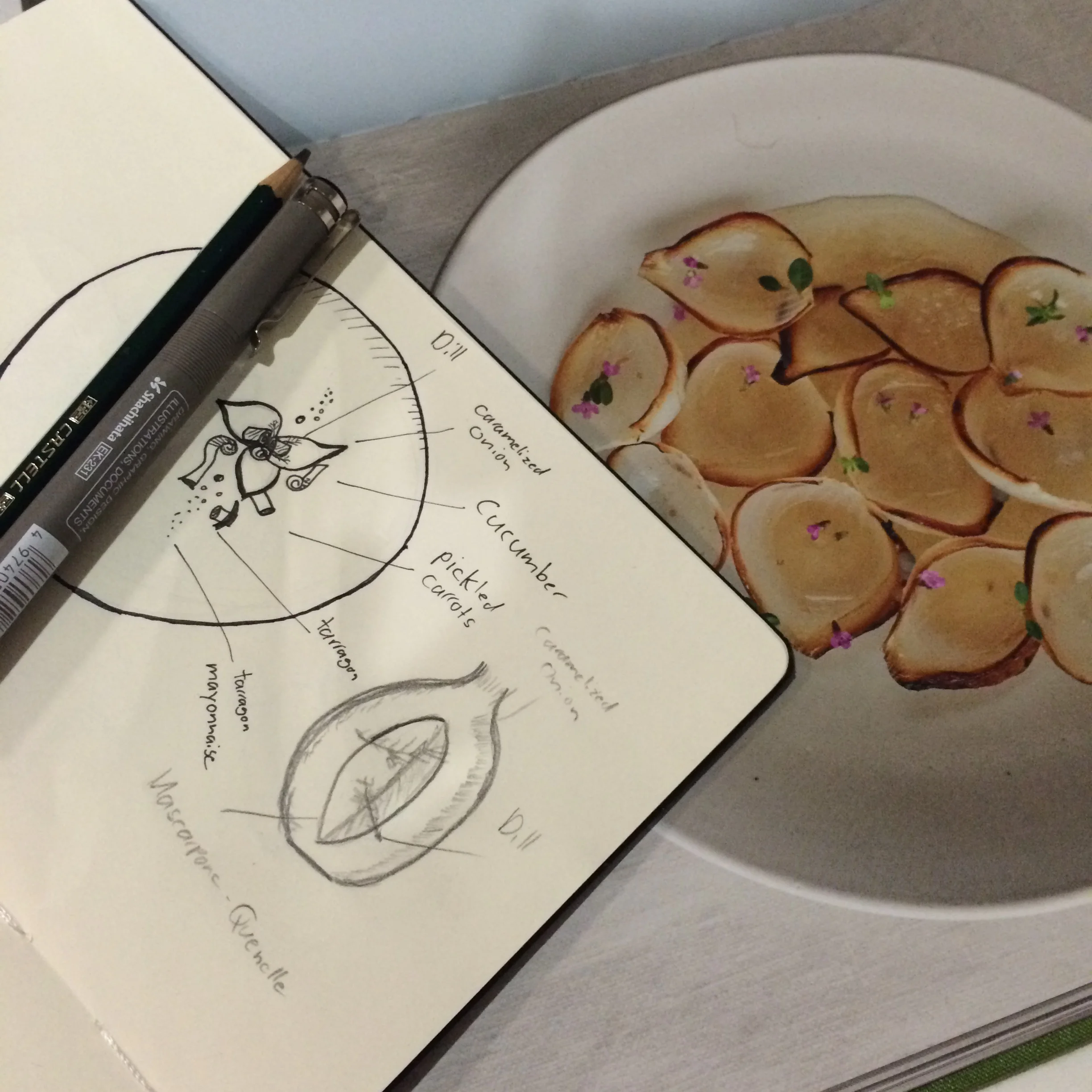 Dish developing sketch.