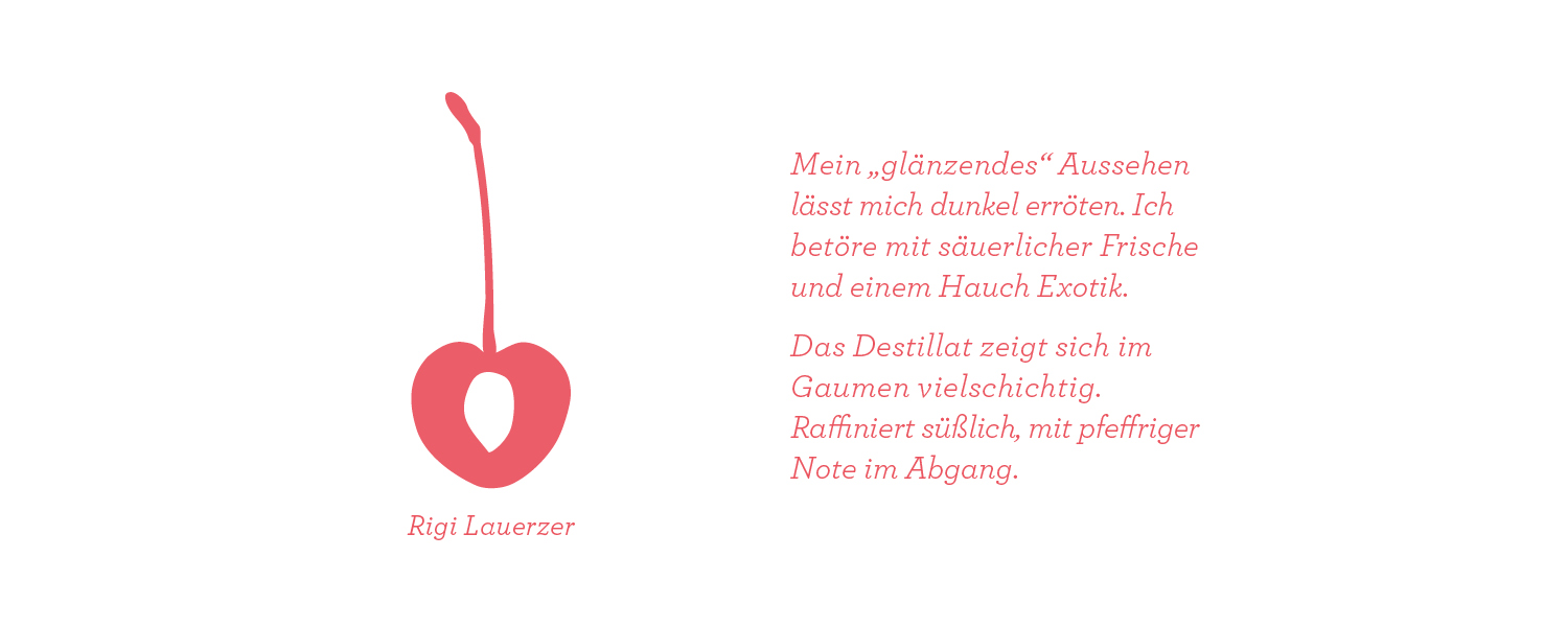 cerise_rigi_text.png