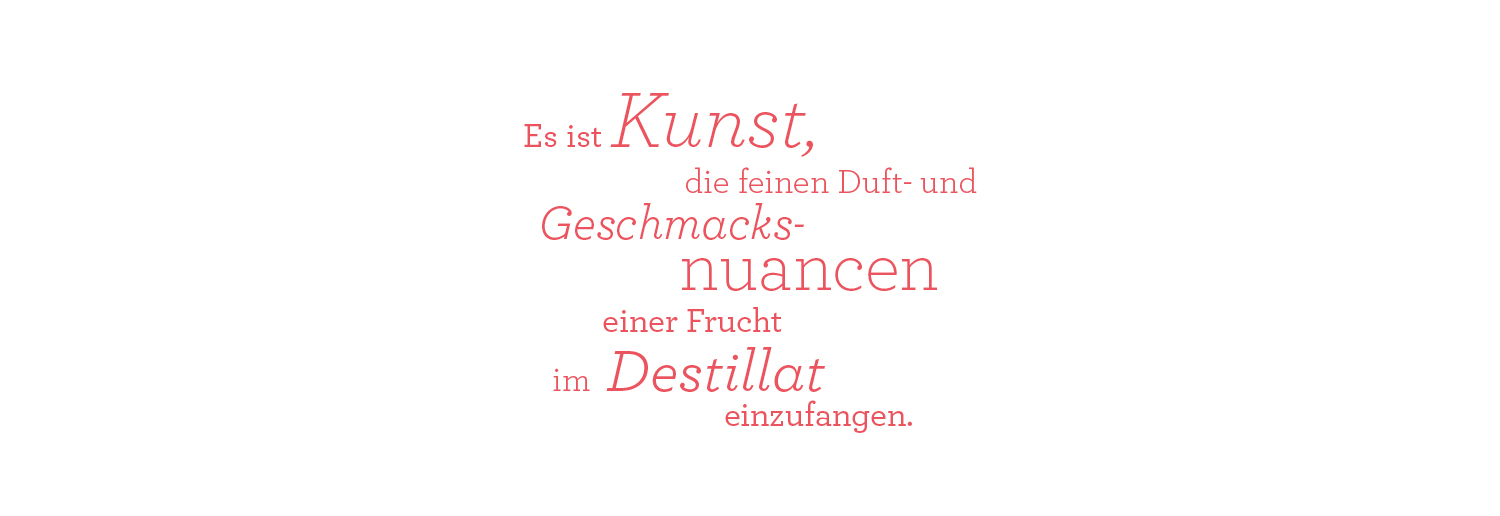 cerise_text_etikett.jpg