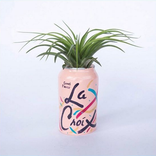 la croix planter