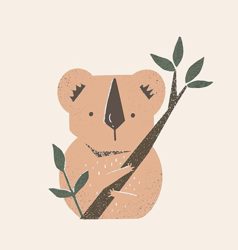 KoalaKelseyDavis.png