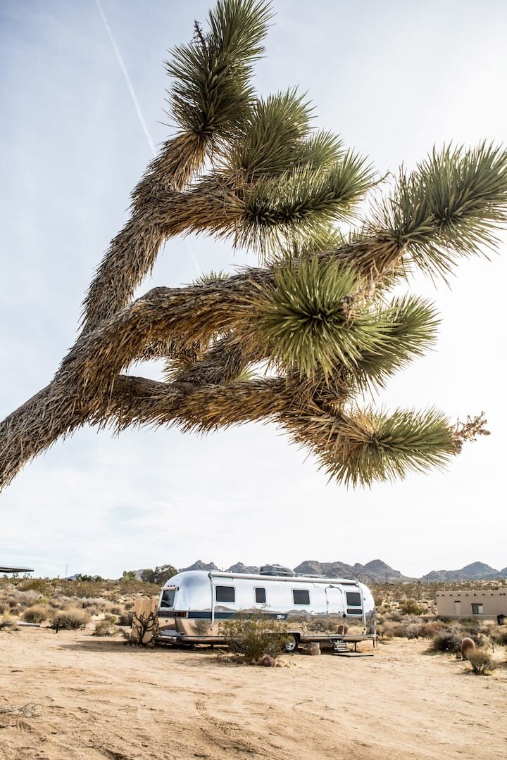 Glamping in Joshua Tree