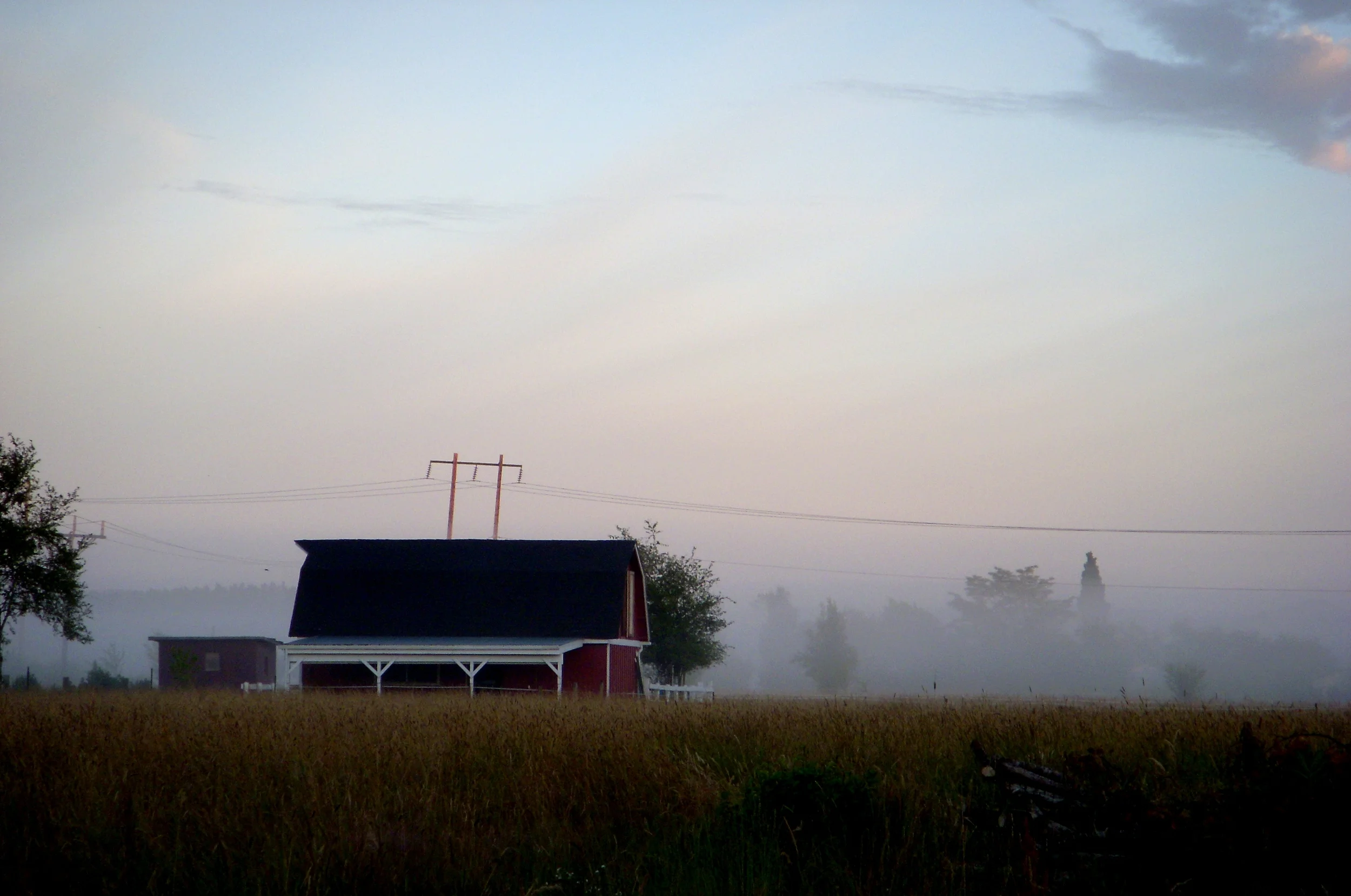 Reunion Harry Potter 002.JPG