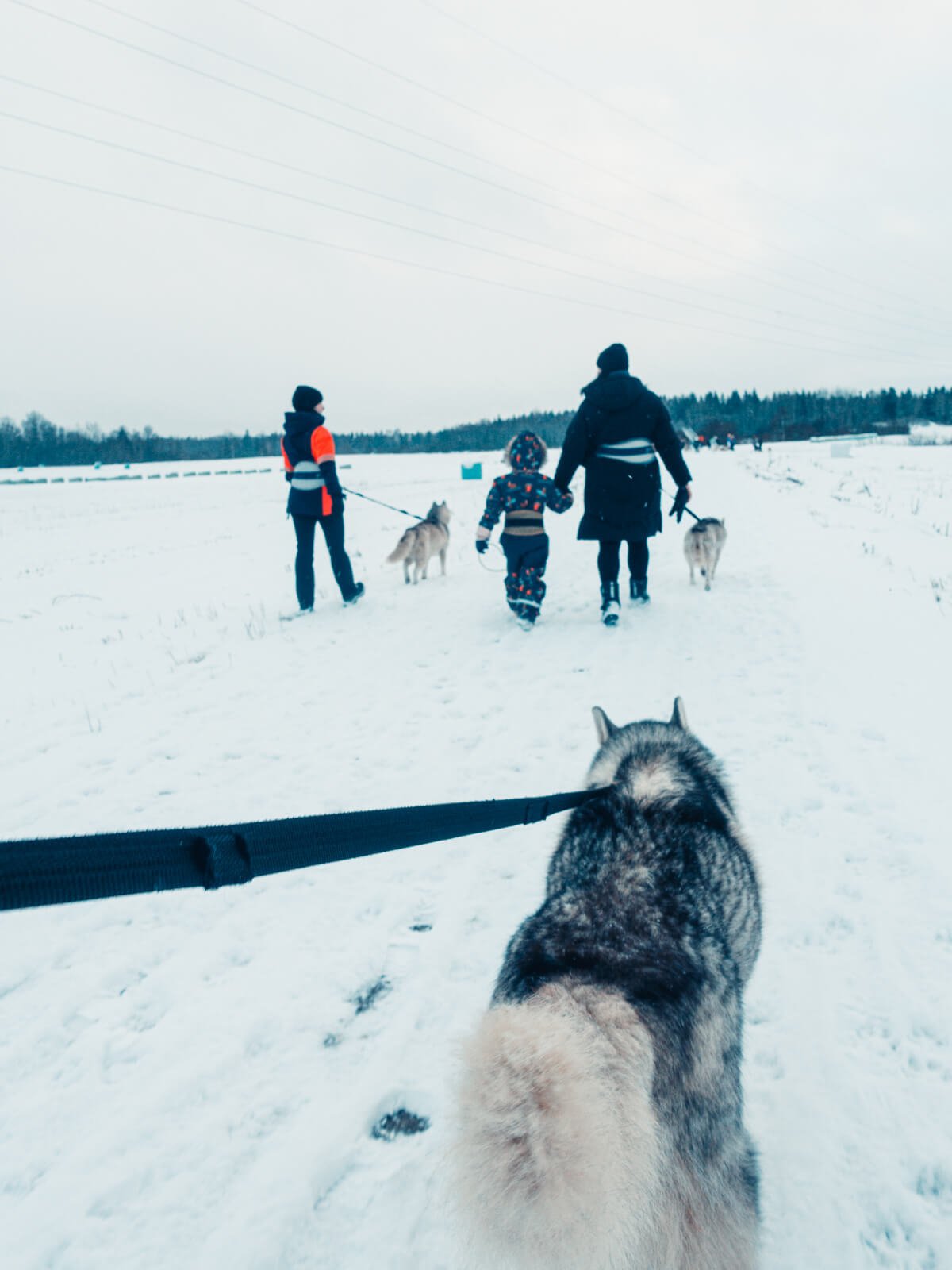 estonia-christmas-activities-kids-family05584.jpg