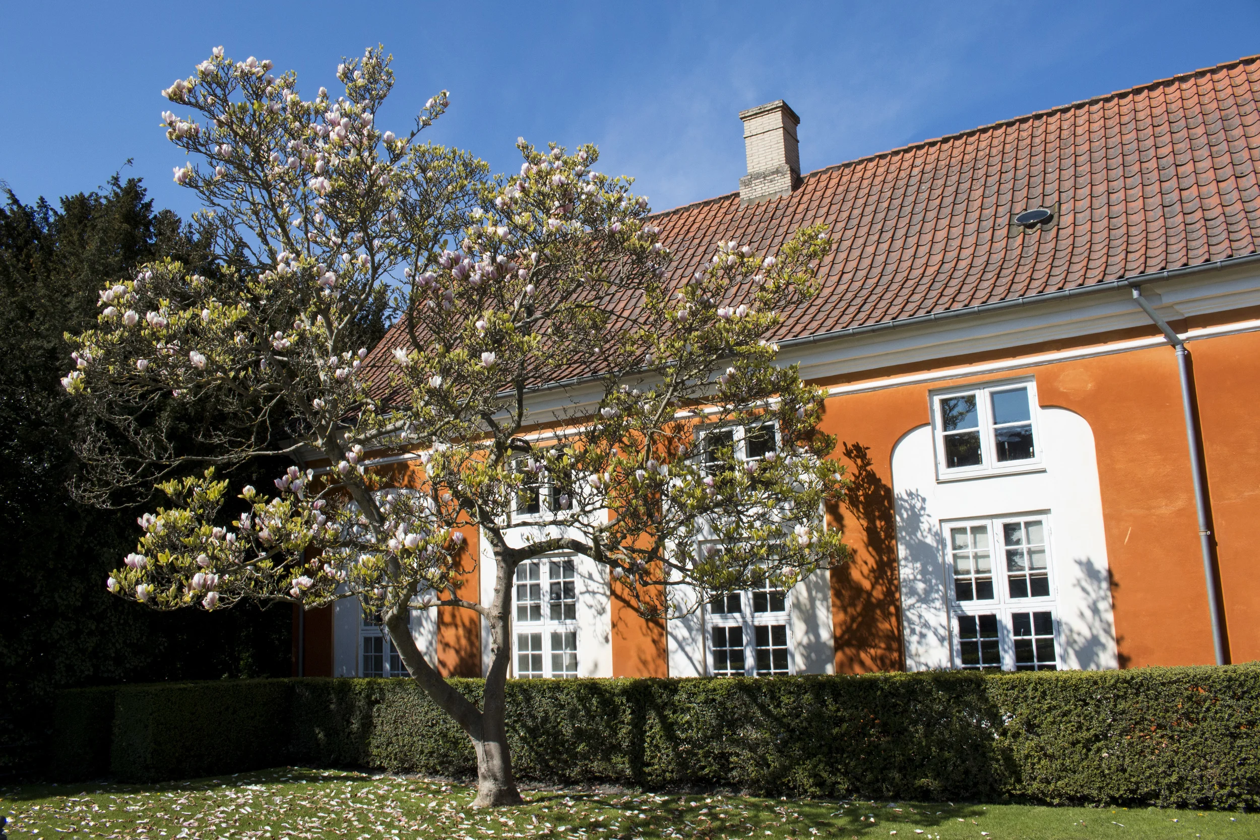 SOA_copenhagen.jpg