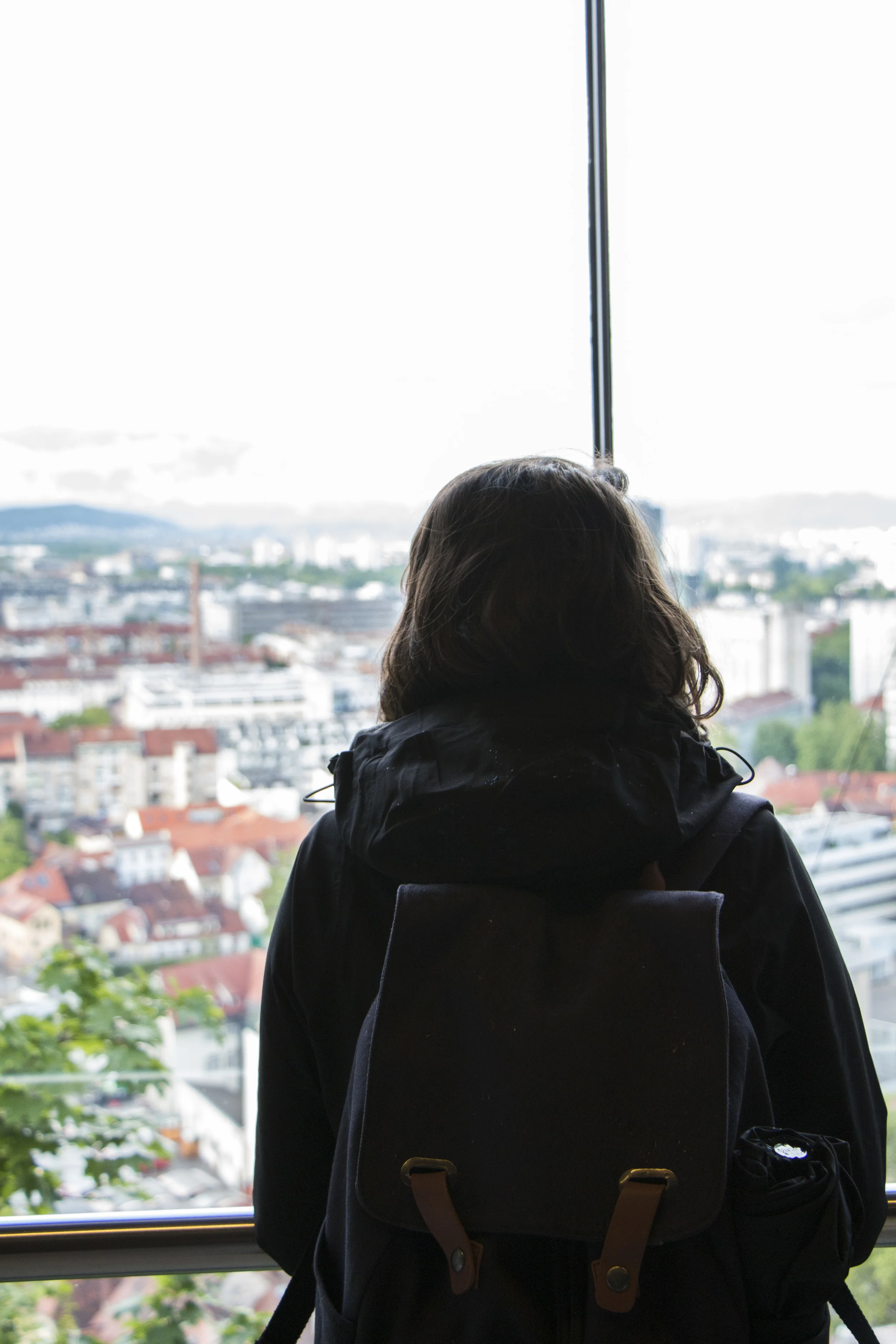 SOA_Slovenia-ljubljana.jpg