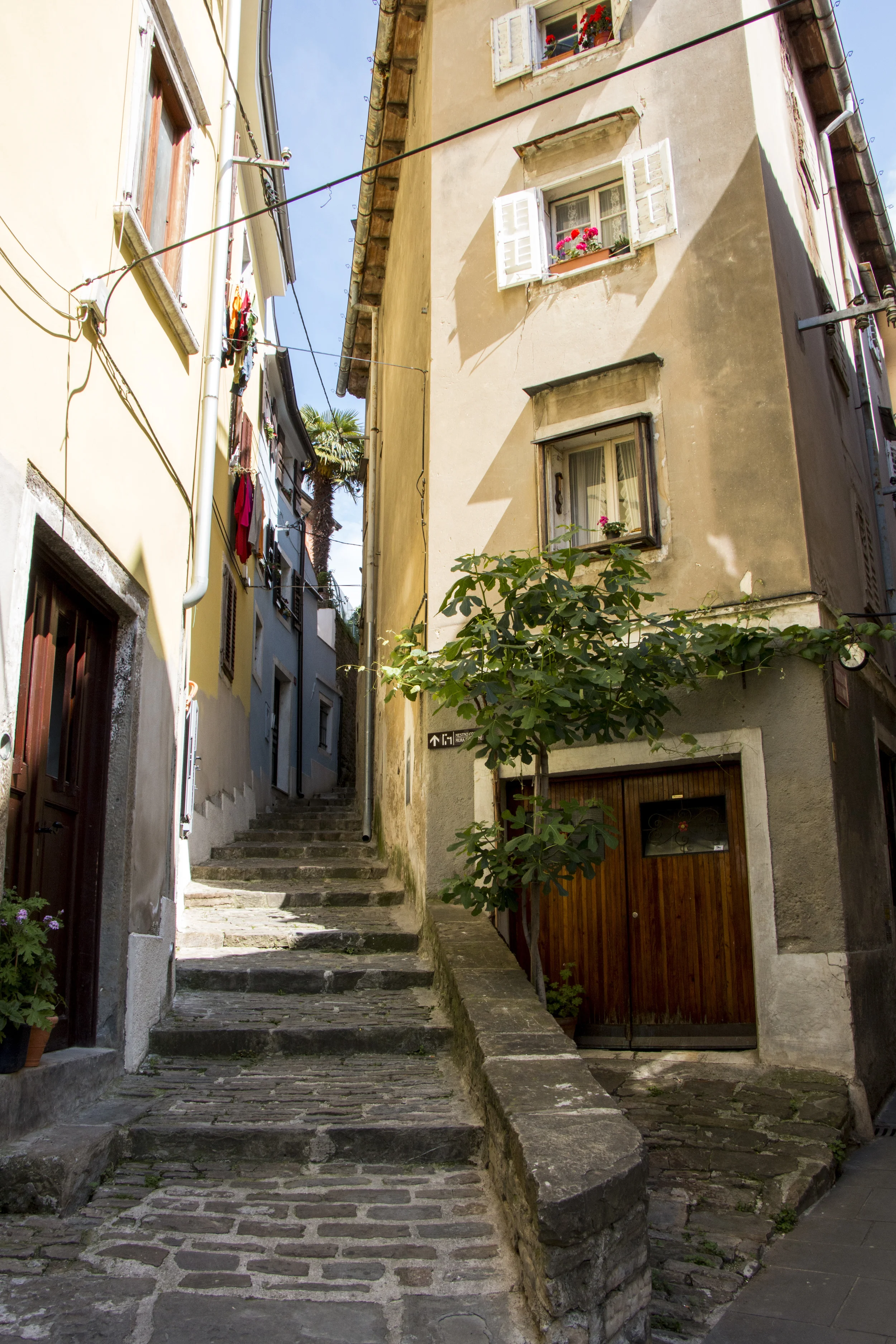 SOA_Slovenia-piran.jpg