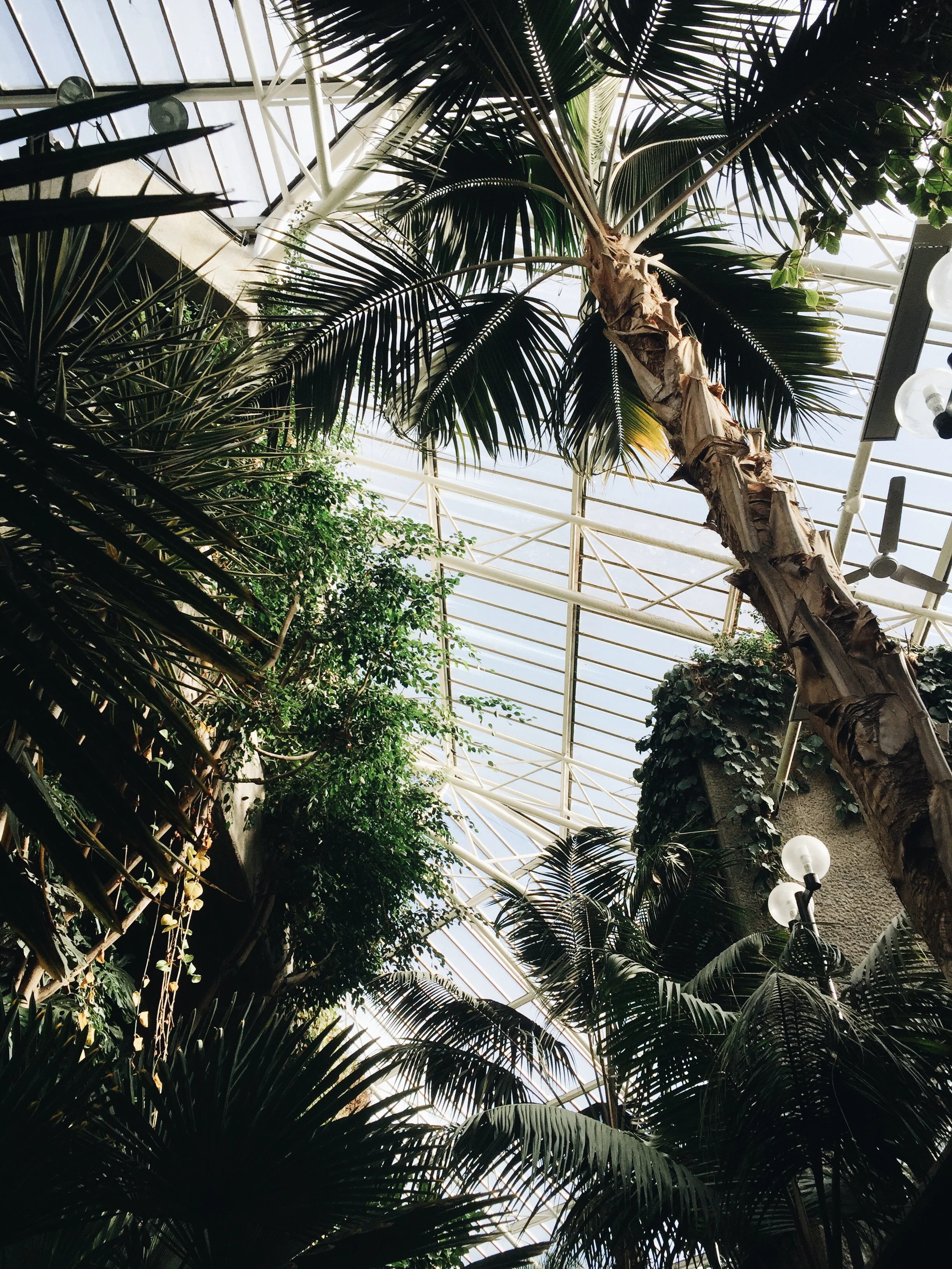 SOA_London-Barbican-Conservatory.jpg