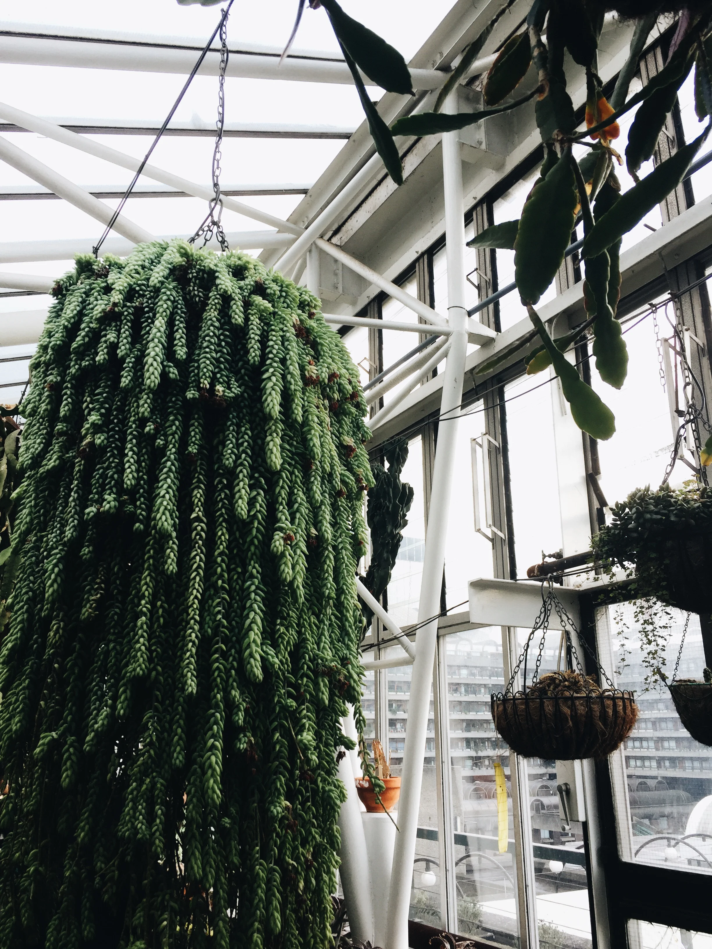SOA_London-Barbican-Conservatory.jpg