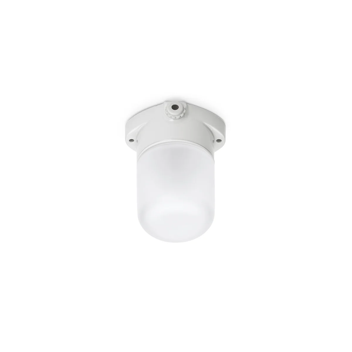 magasin-des-objets-usuels-ceiling-mounted-fitting-thpg-porcelain-frosted-glass.jpg