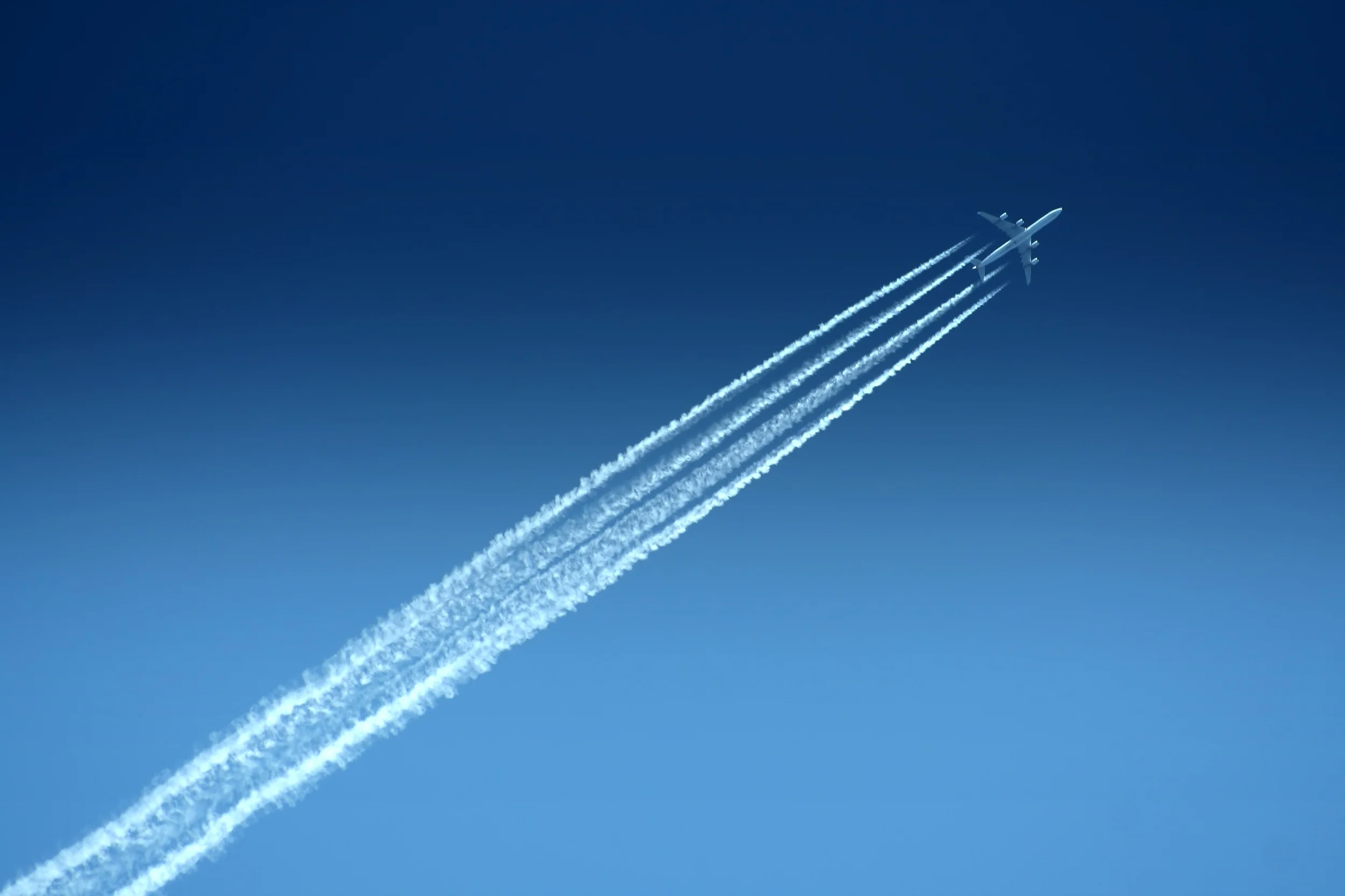 Introduction to Human Factors