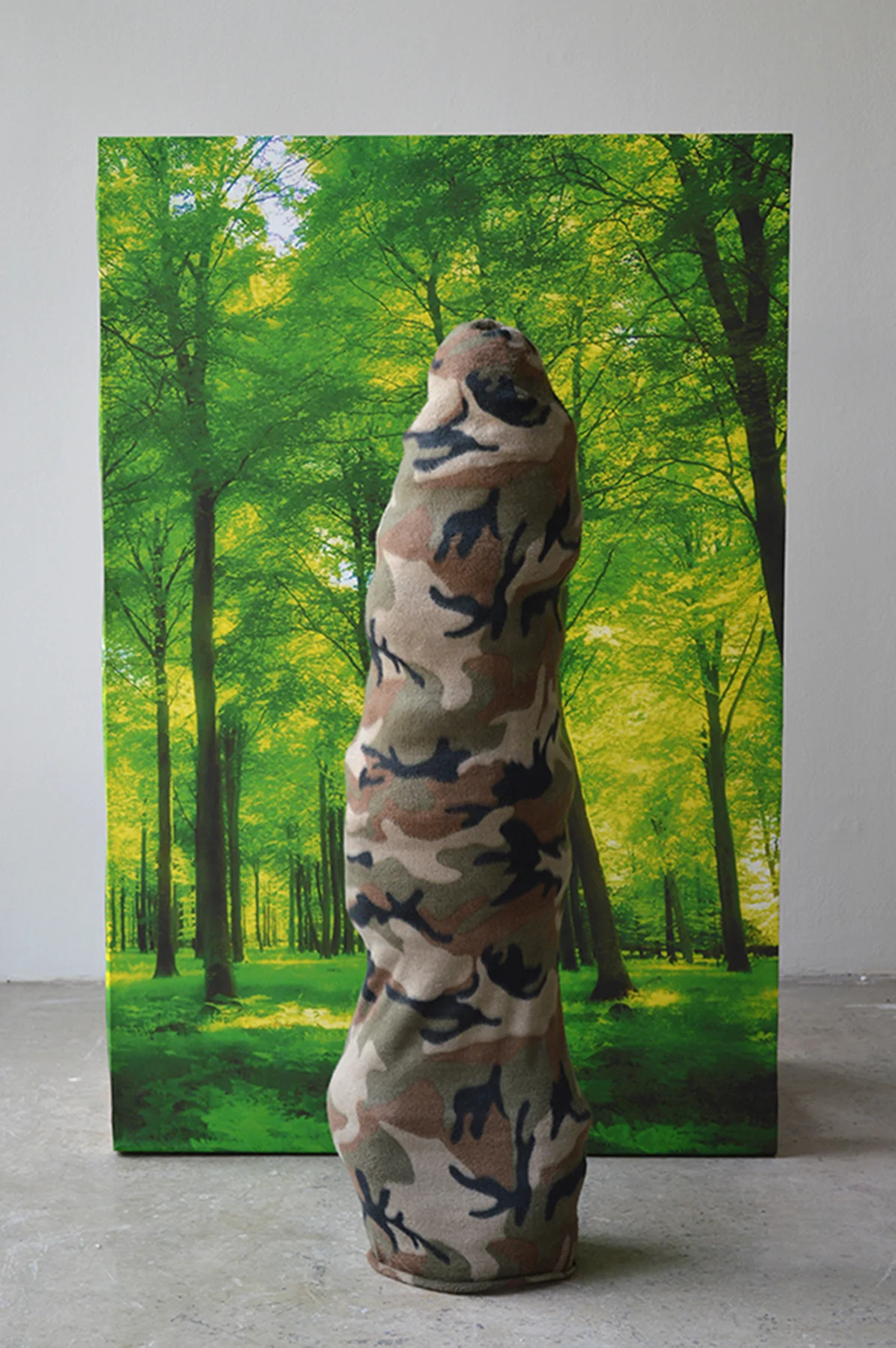 camobig.jpg