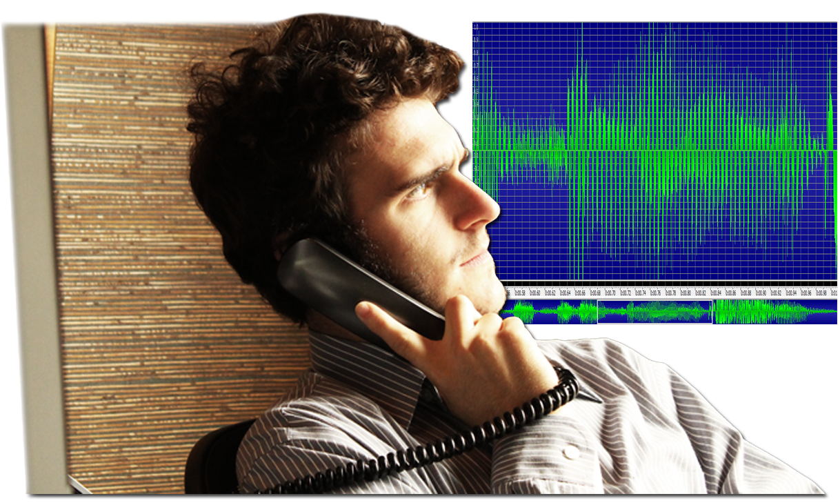Voice Over Services.png
