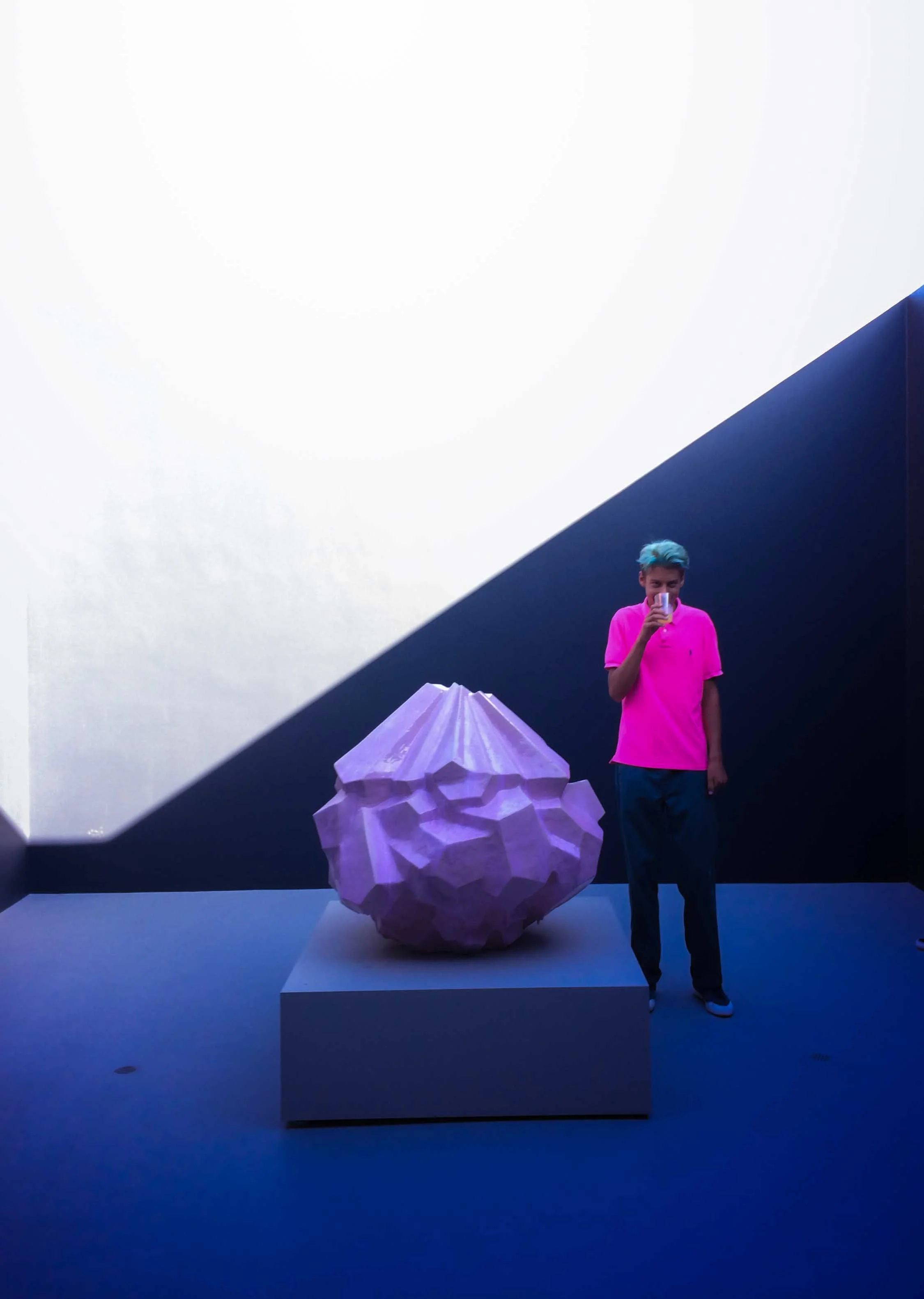 David Hockney 1 Pink 2015.jpg