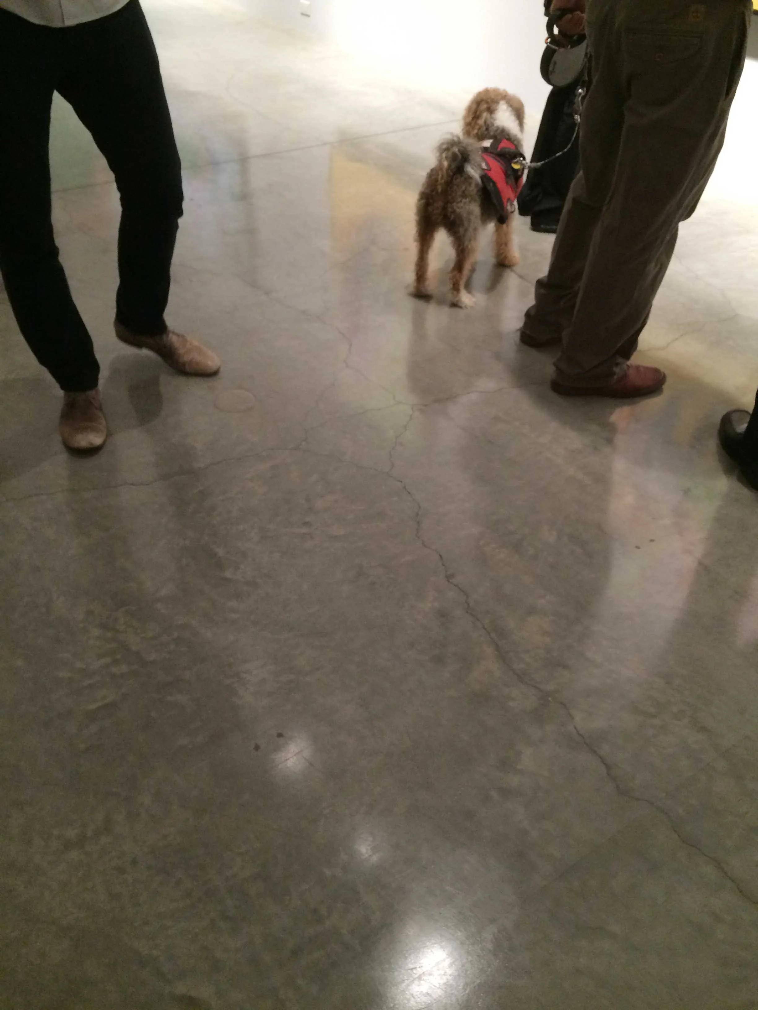 David Hockney   2015-10.jpg