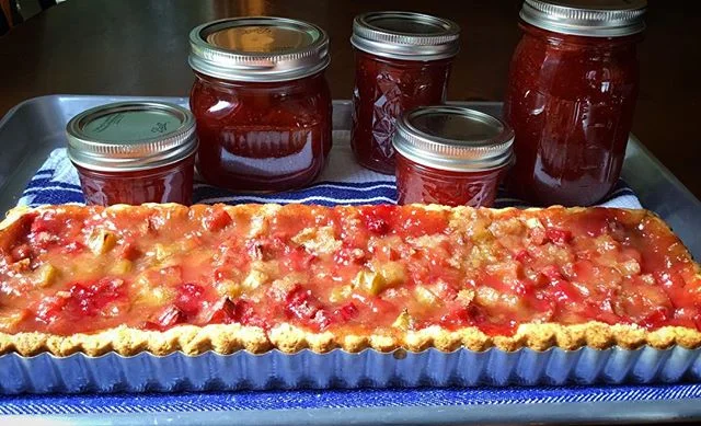 Rhubarb management.
. .
Thanks @aepetestylist 
I froze the rest!

#rhubarb #rhubarbtart #rhubarbjam #foodwinewomen #food52 #buzzfeedfood #bhgcelebrate #inseasonnow #howisummer #BallCanning #eeeeeats #friyay #gloobyfood #huffposttaste #onmytable