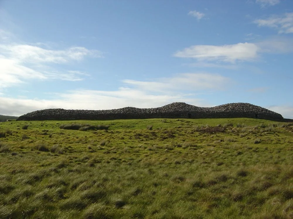 DSC07965.jpg
