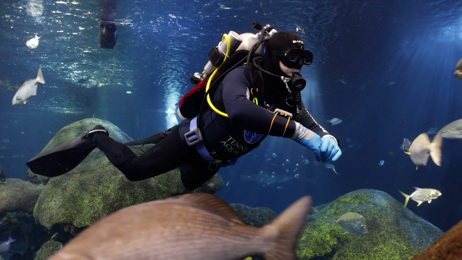 Mark Craven: Below The Surface