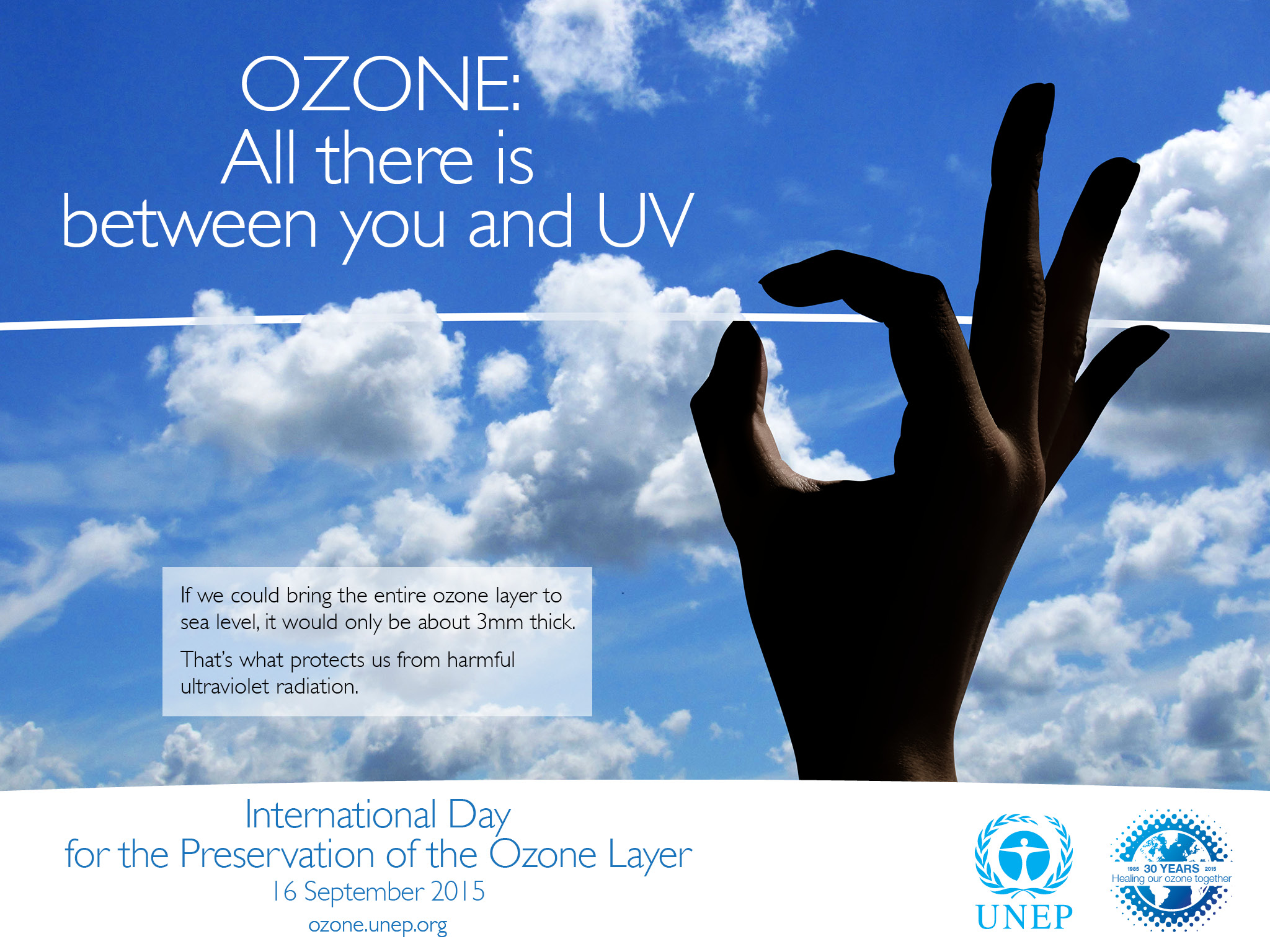 Client: UNEP Ozone Secretariat