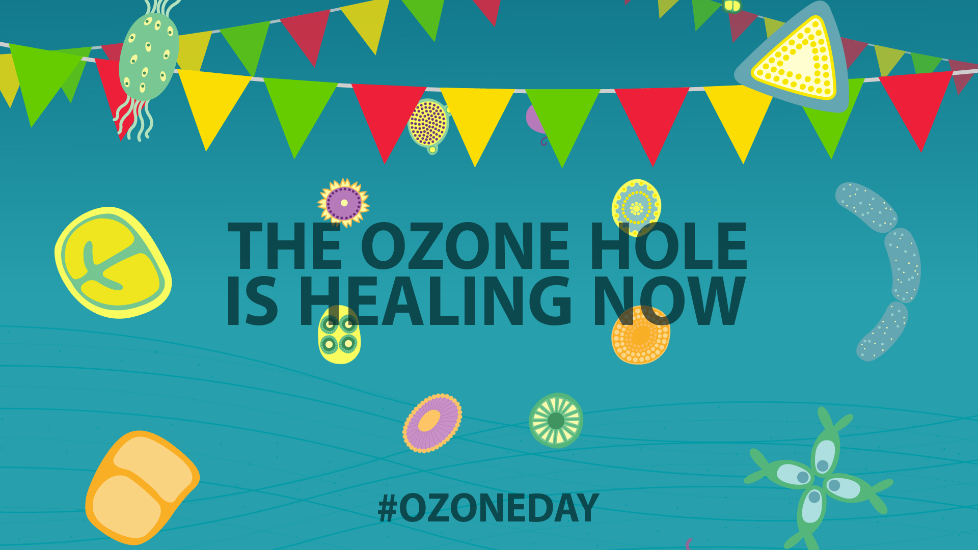 The Ozone Song