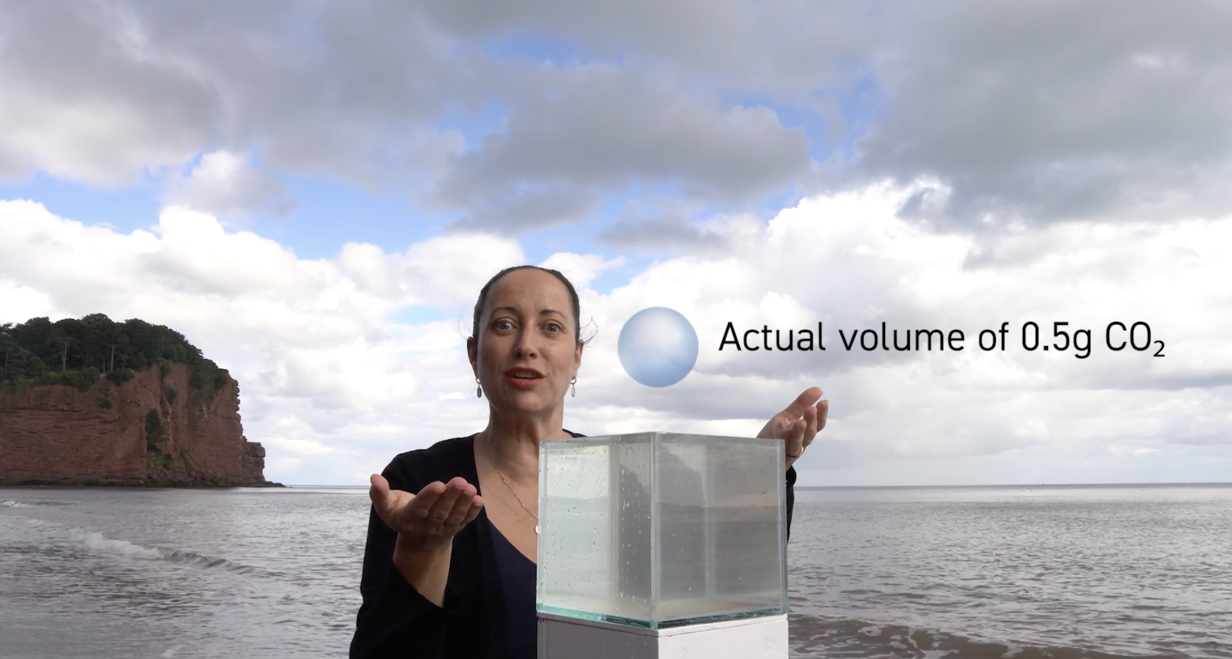 Ocean carbon removal - a climate solution?