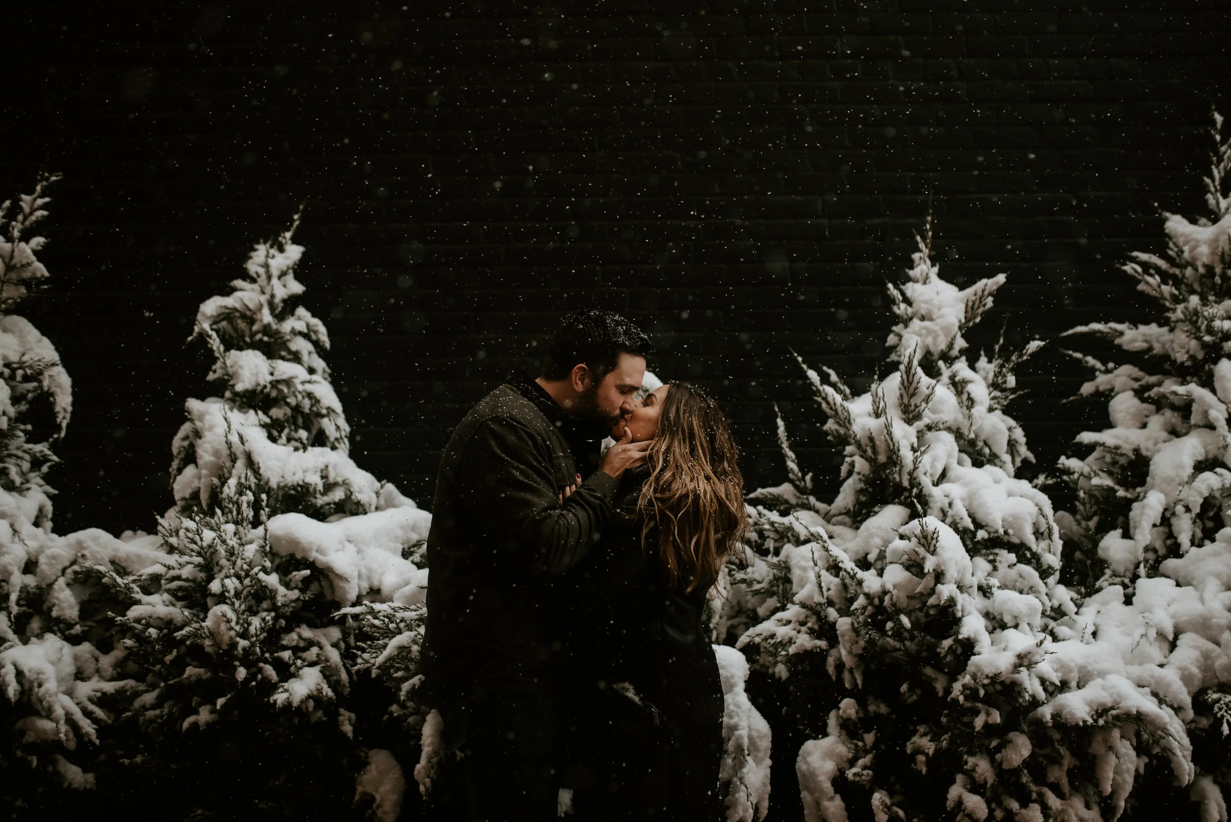 Winter Wonder Land | Detroit