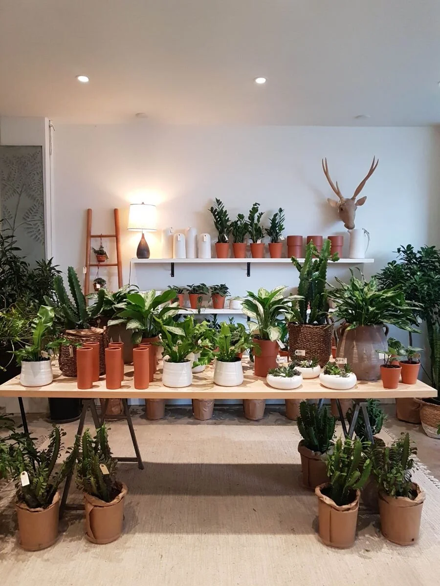 Florists Ottawa Bloomfields Flowers