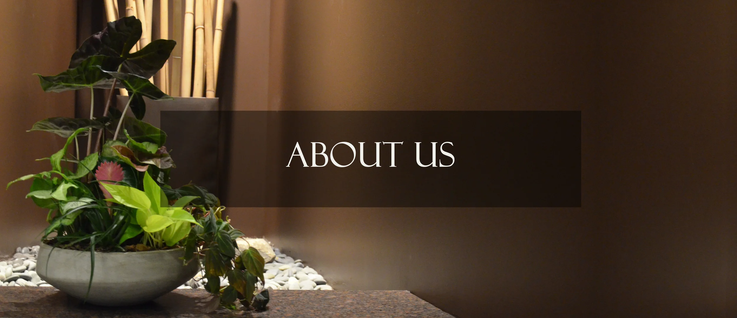 Harding Botanicals_About Us.jpg