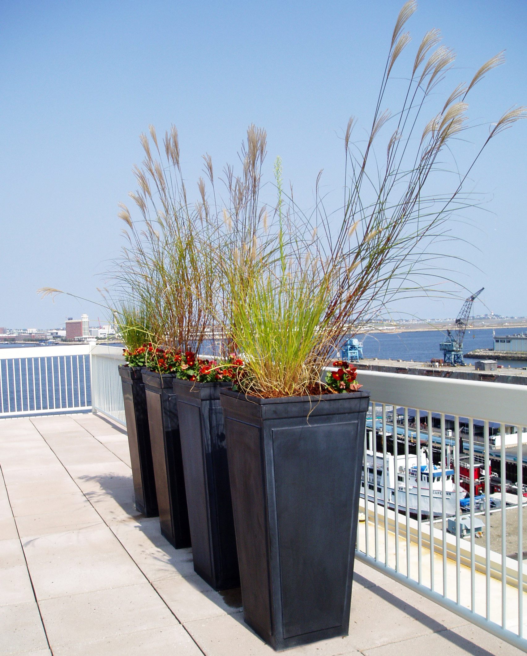 Harding Botanicals_Exterior 8.jpg