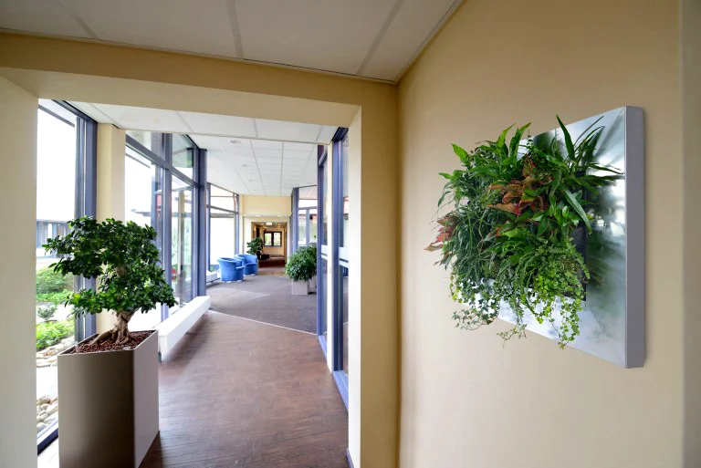 Suite Plants. Van Grow. Harding Botanicals