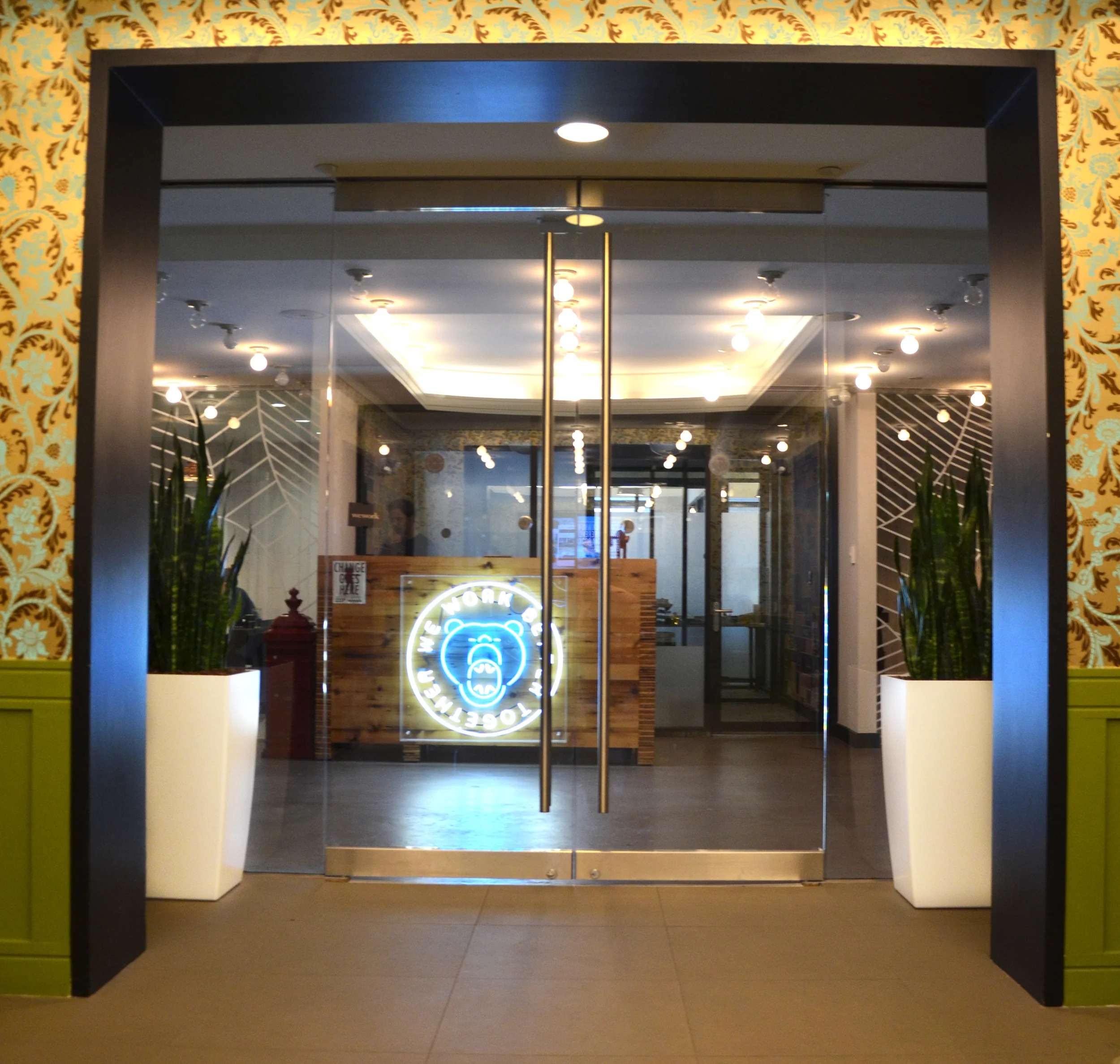 Sanseveria. Harding Botanicals. We Work. Interior Plantscapes