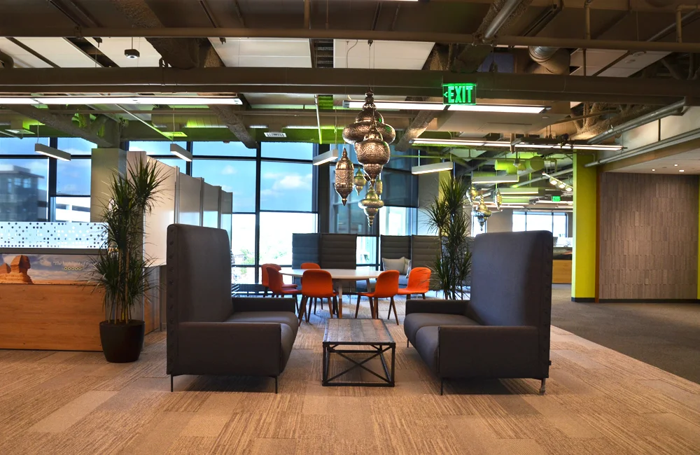 Marginata. Harding Botanicals. TripAdvisor HeadQuarters