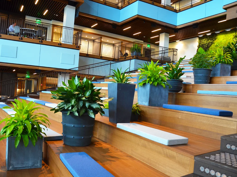 Harding Botanicals interior plantscape TripAdvisor