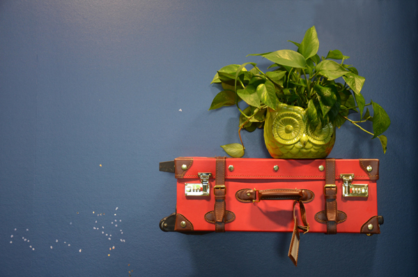 We found owl planters!!