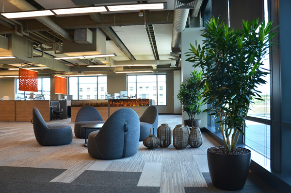 The "Asia" floor