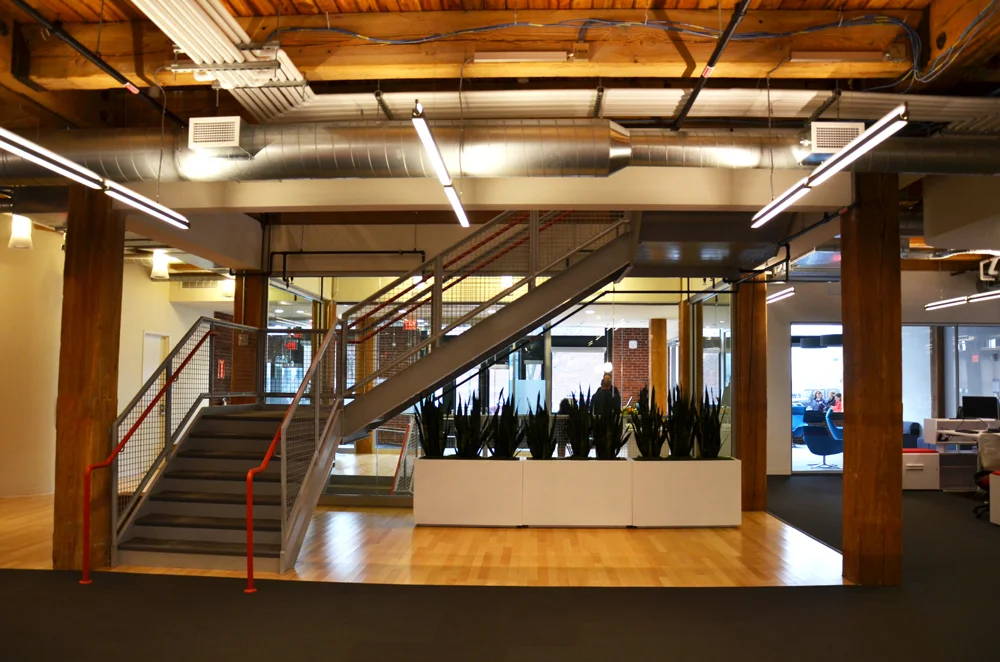 Harding Botanicals interior plantscape Sanseveria LogMeIn