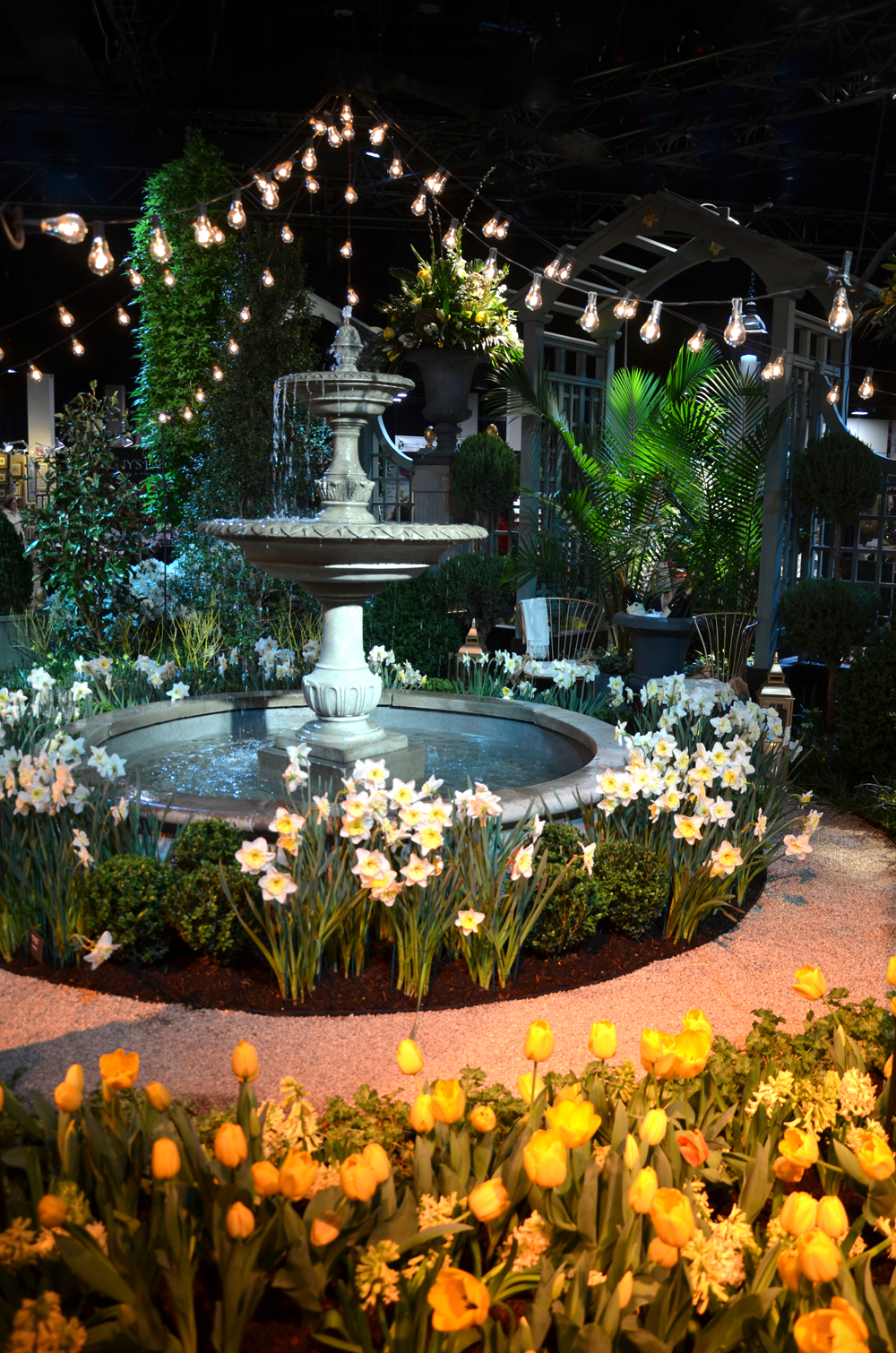 Newport Flower Show Display